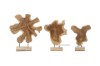 Picture of BARON Solid Teakwood Display Abstract - 40