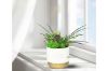 Picture of ARTIFICIAL PLANT 280 with Vase (14x36cm)