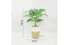 Picture of ARTIFICIAL PLANT 284 with Vase (34x45cm)