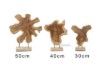 Picture of BARON Solid Teakwood Display Abstract - 40