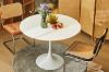 Picture of TULIP Dining Set  - 100cm Table with 4 Chairs (White)