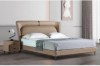 Picture of SHELL DREAM Bed Frame in Queen Size