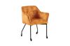 Picture of WANDA Versatile Armchair with Wheels (Caramel) - 2 Chairs in 1 Carton