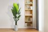 Picture of Artificial Potted Traveller Palm Plant (H210cm)