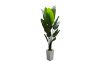 Picture of Artificial Potted Traveller Palm Plant (H210cm)