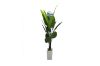 Picture of Artificial Potted Traveller Palm Plant (H210cm)
