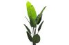 Picture of Artificial Potted Traveller Palm Plant (H210cm)