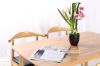 Picture of WINDSOR Solid Wood Dining Chair (Natural Colour)