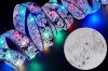 Picture of 364-004 5M Christmas LED Ribbon