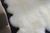Picture of 388-005 Natural Long Wool Sheepskin Rug - (160x60cm)