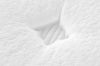 Picture of LAVORA Perfume Fabric Pocket Spring Mattress - Single Size