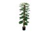 Picture of 353-013 Artificial Green Pothos Plant - H170cm
