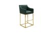 Picture of [FLOOR MODEL CLEARANCE] HESPER 74 Bar Height Bar Stool  with Arms & Golden Finish Base (Green)