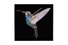 Picture of 357-012 Decorative Wall Art with Golden Frame (60x60cm) - Hummingbird