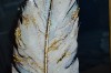 Picture of 357-015 Decorative Wall Art with Golden Frame (40x60cm) - White Feather