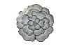 Picture of 371-030/031 Rose Placemat in Golden/Silver