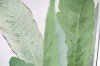 Picture of 368-002 Semi Hand Oil Painting Canvas Wall Art with Aluminum Alloy Frame (80×160cm) - Green Leaves
