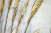 Picture of 389-001 Hand Oil Painting Canvas Wall Art (60x90CM) - Golden Wheat Ear
