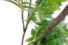 Picture of 353-009 Artificial Green Lacquered Wood Plant - H170cm