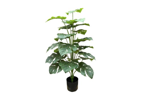 Picture of 353-014 Artificial Green Pothos Plant - H100cm