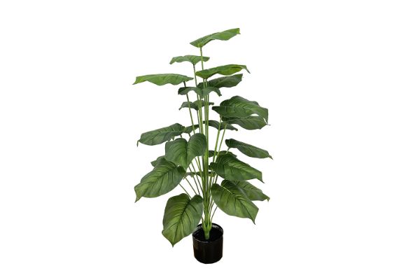 Picture of 353-016 Artificial Green Pothos Plant - H100cm