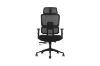 Picture of FLEXO Height Adjustable Office Chair with Adjustable Headrest & Backrest, Seat Slider (Dark)