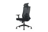 Picture of MAVEN High Back Office Chair with Adjustable Ice-Silk Mesh Backrest & Adjustable Headrest, Lumbar Support & 3D Armrests