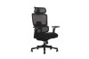 Picture of FLEXO Pro Height Adjustable Mesh Office Chair with Adjustable Headrest & Backrest, 5D Armrests and Seat Slider (Dark)