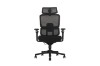Picture of FLEXO Pro Height Adjustable Mesh Office Chair with Adjustable Headrest & Backrest, 5D Armrests and Seat Slider (Dark)