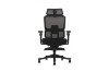 Picture of FLEXO Pro Height Adjustable Mesh Office Chair with Adjustable Headrest & Backrest, 5D Armrests and Seat Slider (Dark)