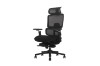 Picture of FLEXO Pro Height Adjustable Mesh Office Chair with Adjustable Headrest & Backrest, 5D Armrests and Seat Slider (Dark)
