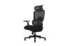Picture of FLEXO Pro Height Adjustable Mesh Office Chair (Dark)