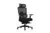 Picture of FLEXO Pro Height Adjustable Mesh Office Chair (Dark)