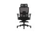 Picture of FLEXO Pro Height Adjustable Mesh Office Chair (Dark)