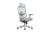 Picture of FLEXO Pro Height Adjustable Mesh Office Chair with Adjustable Headrest & Backrest, 5D Armrests and Seat Slider (Grey)