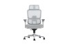 Picture of FLEXO Pro Height Adjustable Mesh Office Chair with Adjustable Headrest & Backrest, 5D Armrests and Seat Slider (Grey)