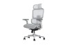 Picture of FLEXO Pro Height Adjustable Mesh Office Chair with Adjustable Headrest & Backrest, 5D Armrests and Seat Slider (Grey)
