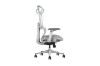 Picture of FLEXO Pro Height Adjustable Mesh Office Chair with Adjustable Headrest & Backrest, 5D Armrests and Seat Slider (Grey)