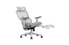 Picture of FLEXO Pro Height Adjustable Mesh Office Chair with Adjustable Headrest & Backrest, 5D Armrests and Seat Slider (Grey)