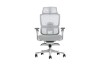Picture of FLEXO Pro Height Adjustable Mesh Office Chair with Adjustable Headrest & Backrest, 5D Armrests and Seat Slider (Grey)