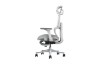 Picture of FLEXO Pro Height Adjustable Mesh Office Chair with Adjustable Headrest & Backrest, 5D Armrests and Seat Slider (Grey)