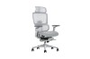 Picture of FLEXO Pro Height Adjustable Mesh Office Chair with Adjustable Headrest & Backrest, 5D Armrests and Seat Slider (Grey)