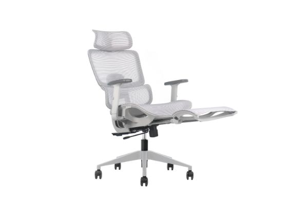 Picture of FLEXO Height Adjustable Mesh Seat Office Chair with Adjustable Headrest & Backrest, Seat Slider (Grey)