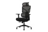 Picture of NEXEN High Back Office Chair with Adjustable Headrest, Dynamic Lumbar Support, 3D Armrests and Seat Slider