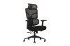 Picture of NEXEN High Back Office Chair with Adjustable Headrest, Dynamic Lumbar Support, 3D Armrests and Seat Slider