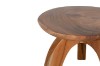 Picture of EAGIS Solid Mungur Wood Plant Stand (Natural)
