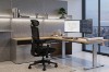 Picture of FLEXO Pro Height Adjustable Mesh Office Chair with Adjustable Headrest & Backrest, 5D Armrests and Seat Slider (Dark)