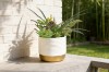 Picture of ARTIFICIAL PLANT 280 with Vase (14x36cm)