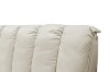 Picture of [FLOOR MODEL CLEARANCE] ALANYA Queen Size Bed Frame (Champagne)