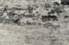 Picture of ELEMENT 230x160/300x240 Brilliant Rug (Grey Marble Print)